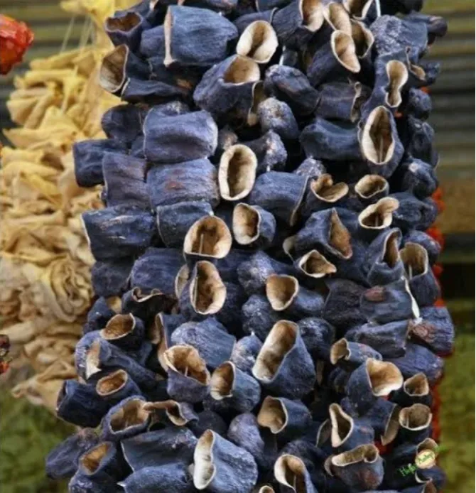 Getrocknete Auberginen für Dolma – Original aus Gaziantep (Handverlesen)